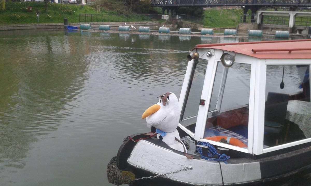 Camboats's tweet photo. Anyone spotted this stow-away on Rosie Narrowboat? https://t.co/71r6HotIl1