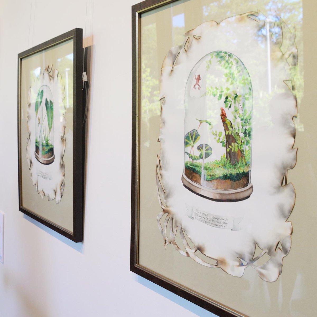 ashleycecil's tweet photo. Join me on 4/8 for an artist reception at @PBGarden where you’ll see this series of artworks inspired by my residency at @RZ_Lab (and more!). Get tickets here - https://t.co/QBEZeACm3c https://t.co/kooA8qmeP7
