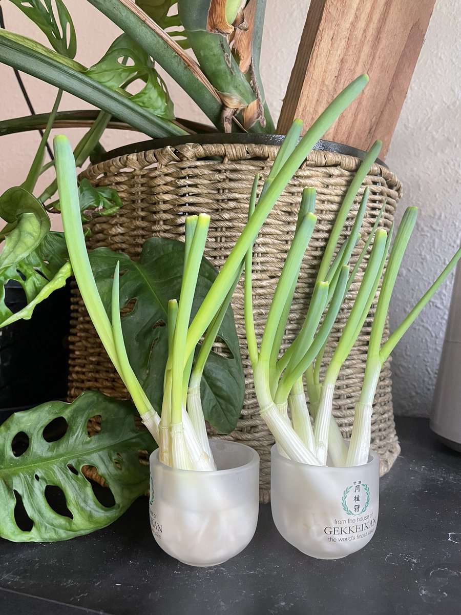 ALL THE NUGGETS ARE GOOD tweet media