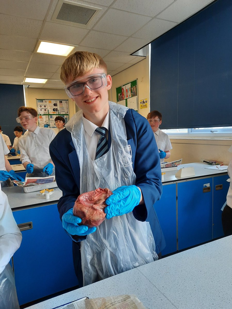 Birkdale Sci Dept tweet media