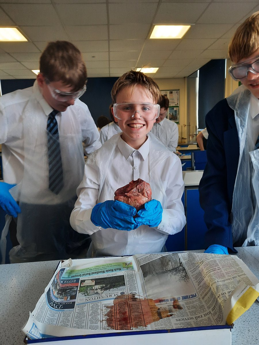 Birkdale Sci Dept tweet media