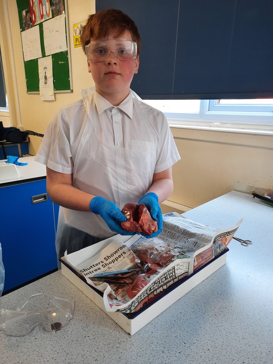 Birkdale Sci Dept tweet media