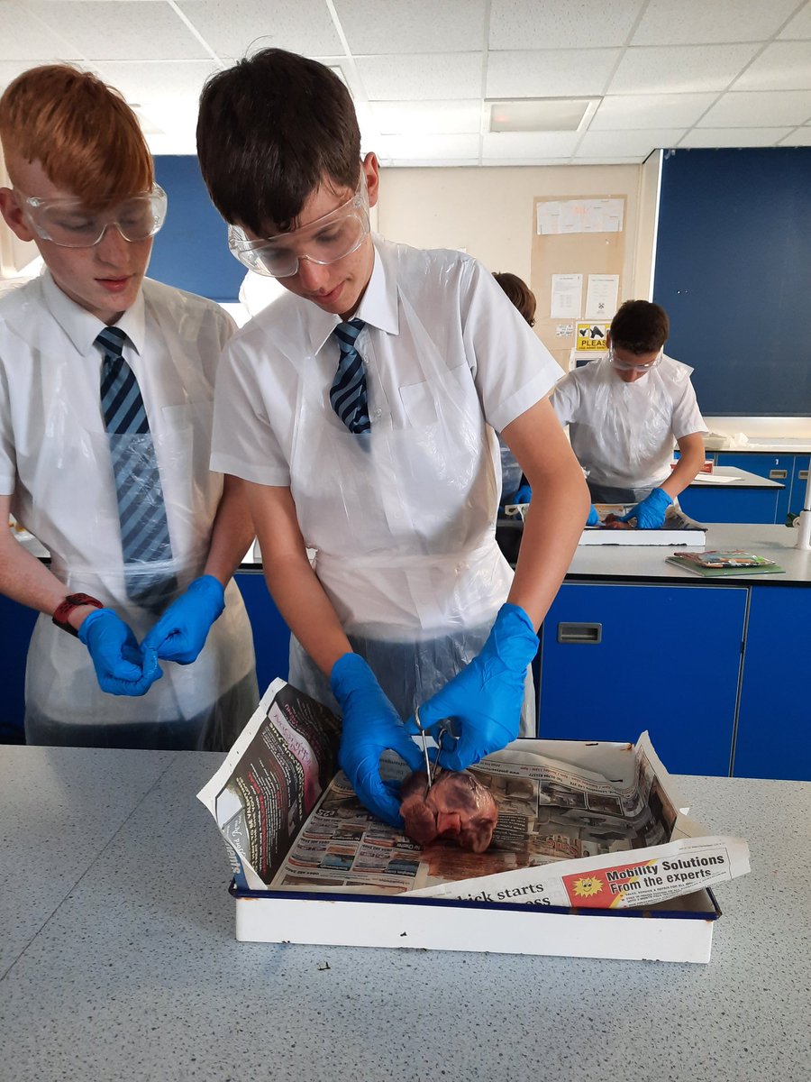 Birkdale Sci Dept tweet media