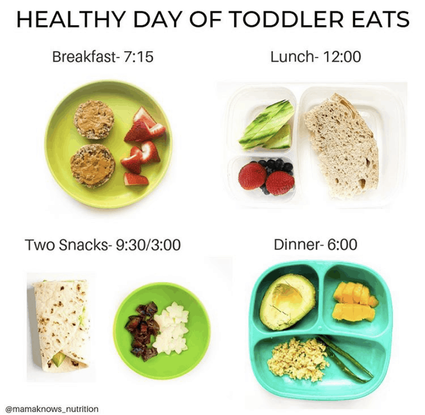 TheHND76's tweet photo. We'll be sharing some healthy eating tips for National Nutrition Month in March!

Here is an example of what a healthy day of toddler food might look like. Remember to include fruit, vegetables, whole grains, lean protein, and dairy. https://t.co/3ikMClQK00