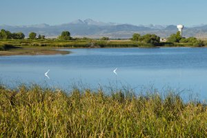 TownOfTimnath's tweet photo. 2022 Timnath Reservoir permits &amp; passes will be available March 31 on the Timnath website.  Use updates this season will focus on increased hours and permits available. We'll see you out there! https://t.co/O5jxRVXcBs
