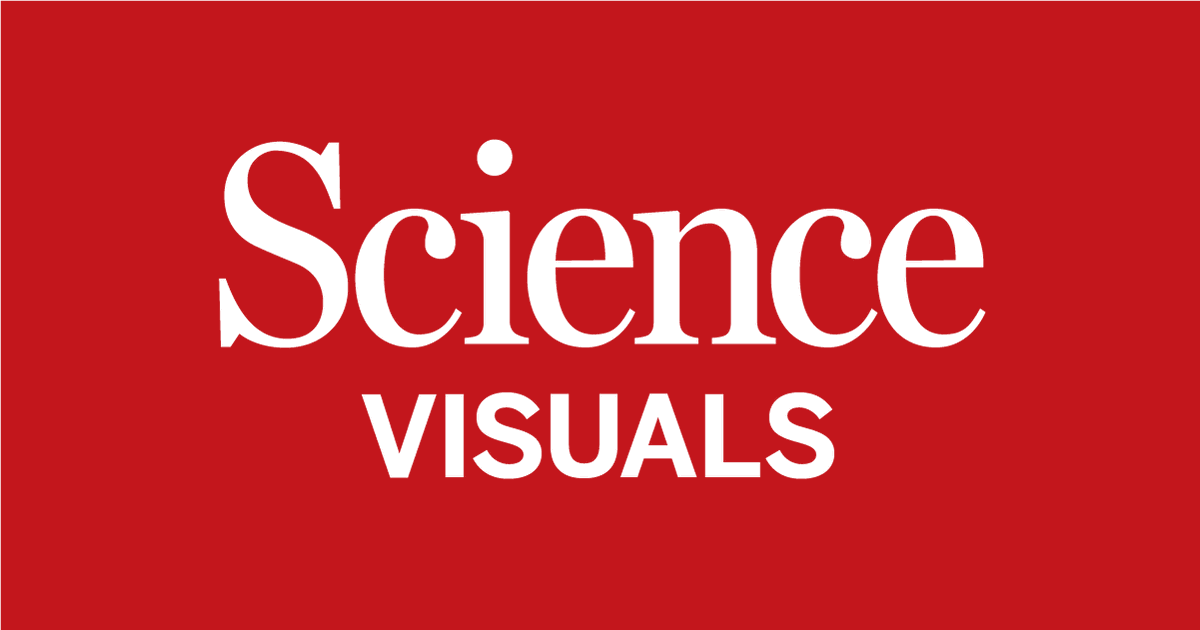 Science is hiring! If you love bringing inspiring visuals and mind-blowing science to the world through multimedia, this is for you: bit.ly/MultiMProd