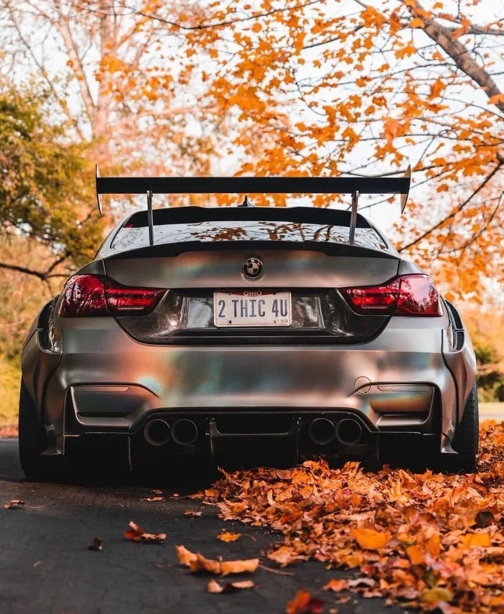 WorldWideCarsTM's tweet photo. 2 Thic 4U 🤫 https://t.co/narMchwX19