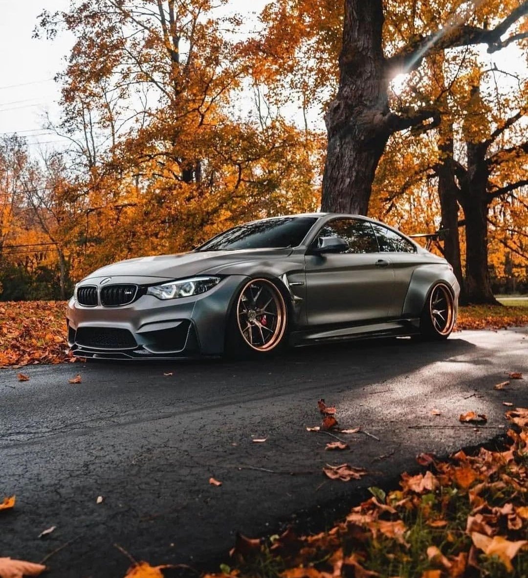 WorldWideCarsTM's tweet photo. 2 Thic 4U 🤫 https://t.co/narMchwX19