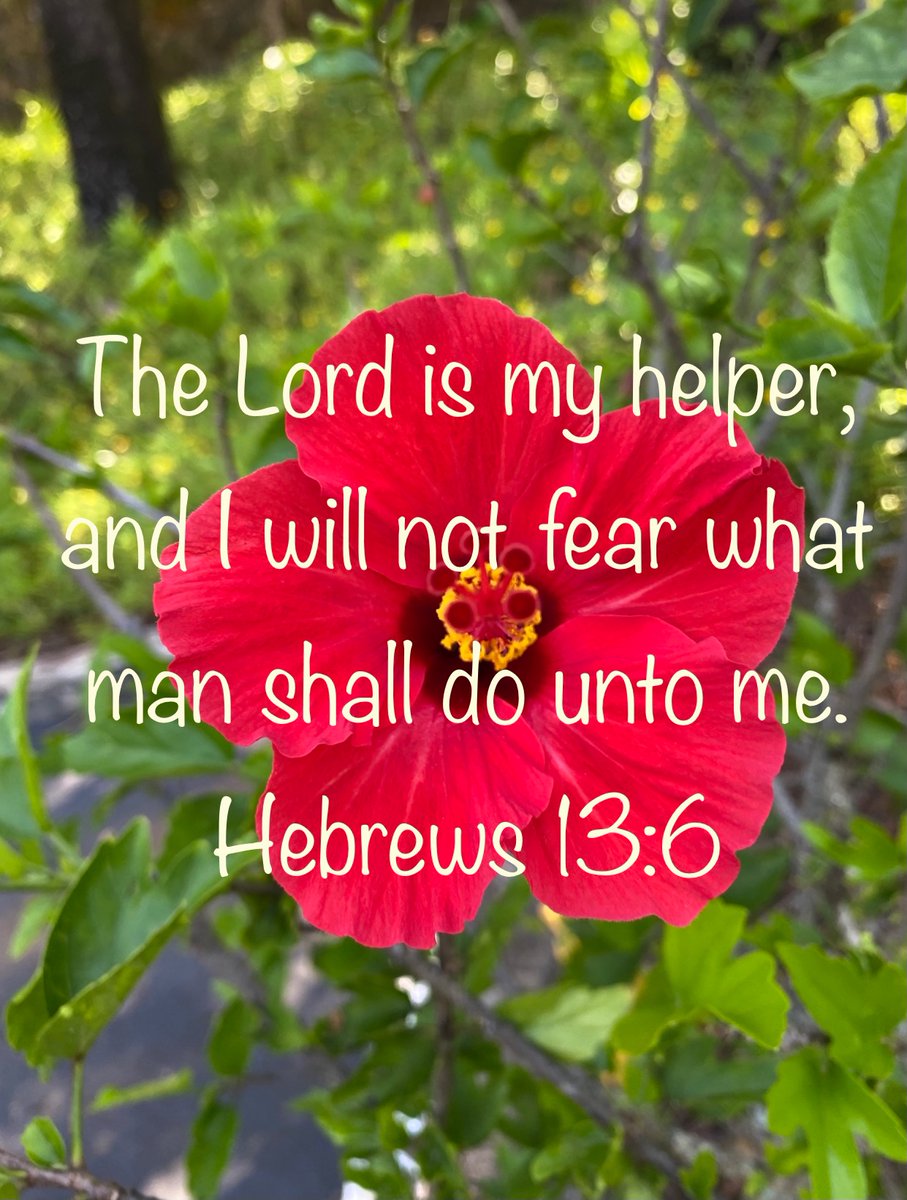 Bible promise of the week

#Biblepromise