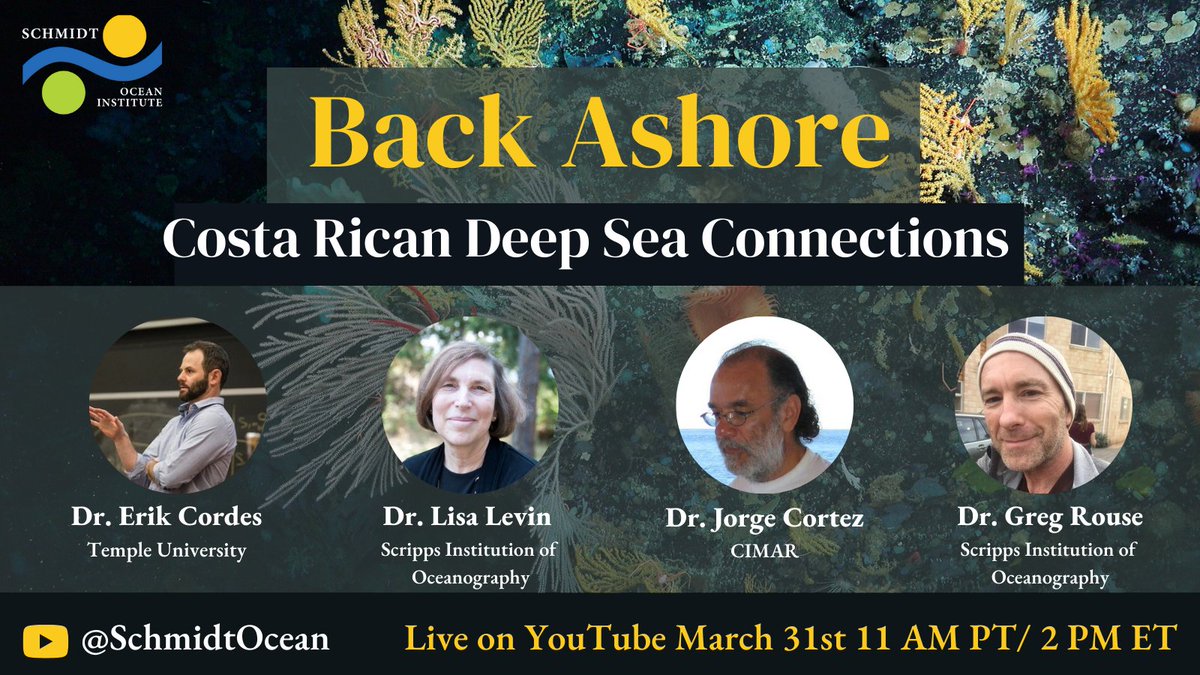 Join members of 2019's #CostaRicaDeep science team as they speak March 31st at 11 AM PT/ 2 PM ET, discussing outcomes and results of the expedition since coming #BackAshore. With guests including @CordesLab, @Scripps_Ocean, @cimarucr, @LlevinAnn youtube.com/user/SchmidtOc…