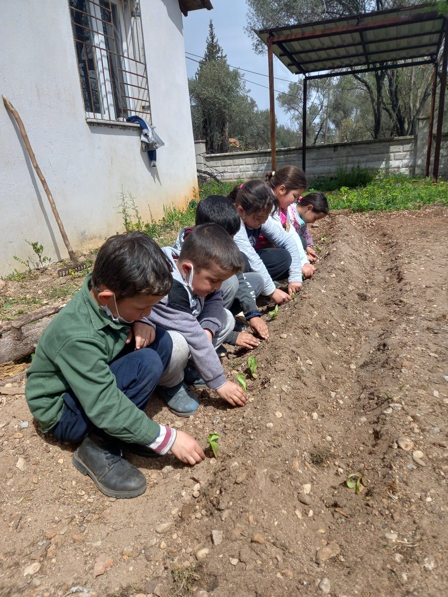 ZaferSargl2's tweet photo. Nisan ayı etkinlik temamız:ÜRETİM ve TASARIM...
Üretim ayağında mini bahçemize işbirliğiyle sebzelerimizi dikmek ve gelişimini sağlamak. 
Temamızın tasarım ayağı ise okulumuzun dış cephesini işbirliğiyle renklendirmek.@Seydikemer_MEM @emrecay55 @SanFerah https://t.co/u41b1OWdfV
