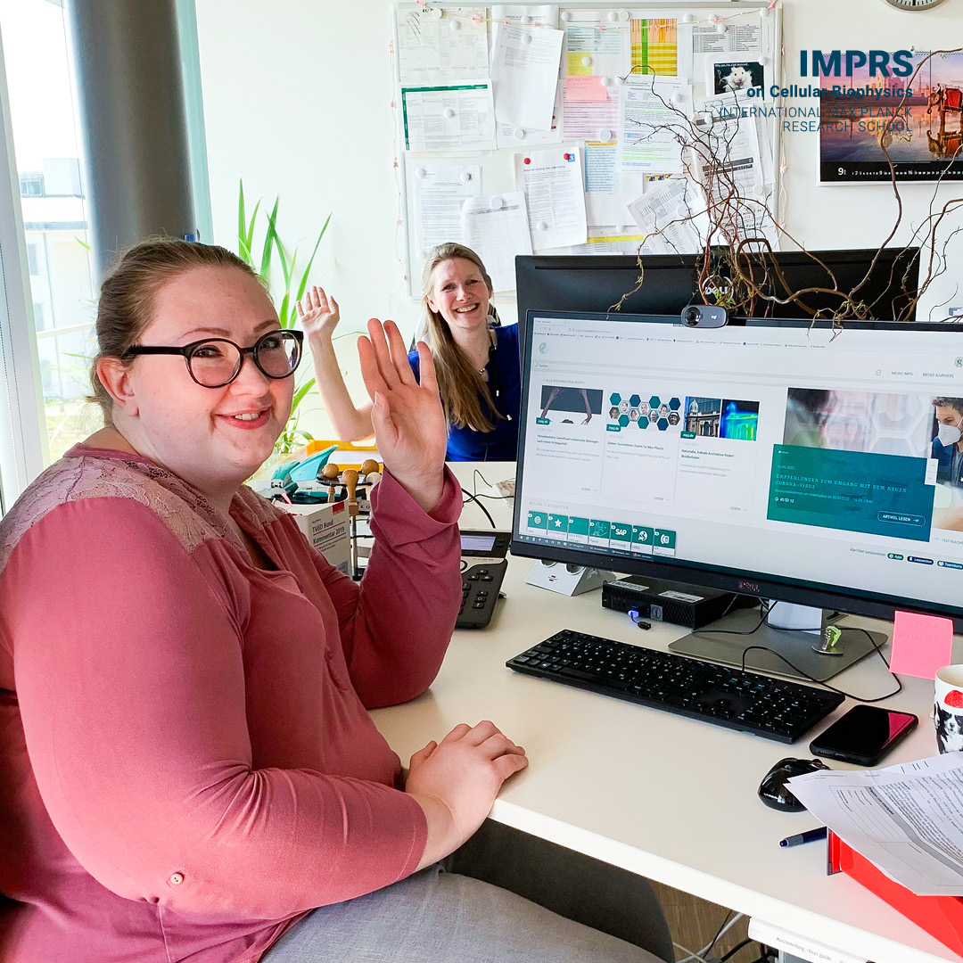 imprs_cbp's tweet image. What do we offer? #keyfeature 4: Our Coordination Office is happy to support you with your questions on the program or the application, and with all administrative matters such as visa, enrollment, curriculum or exam regulations. @MPIbp @goetheuni @uni_mainz @fias_science #imprs