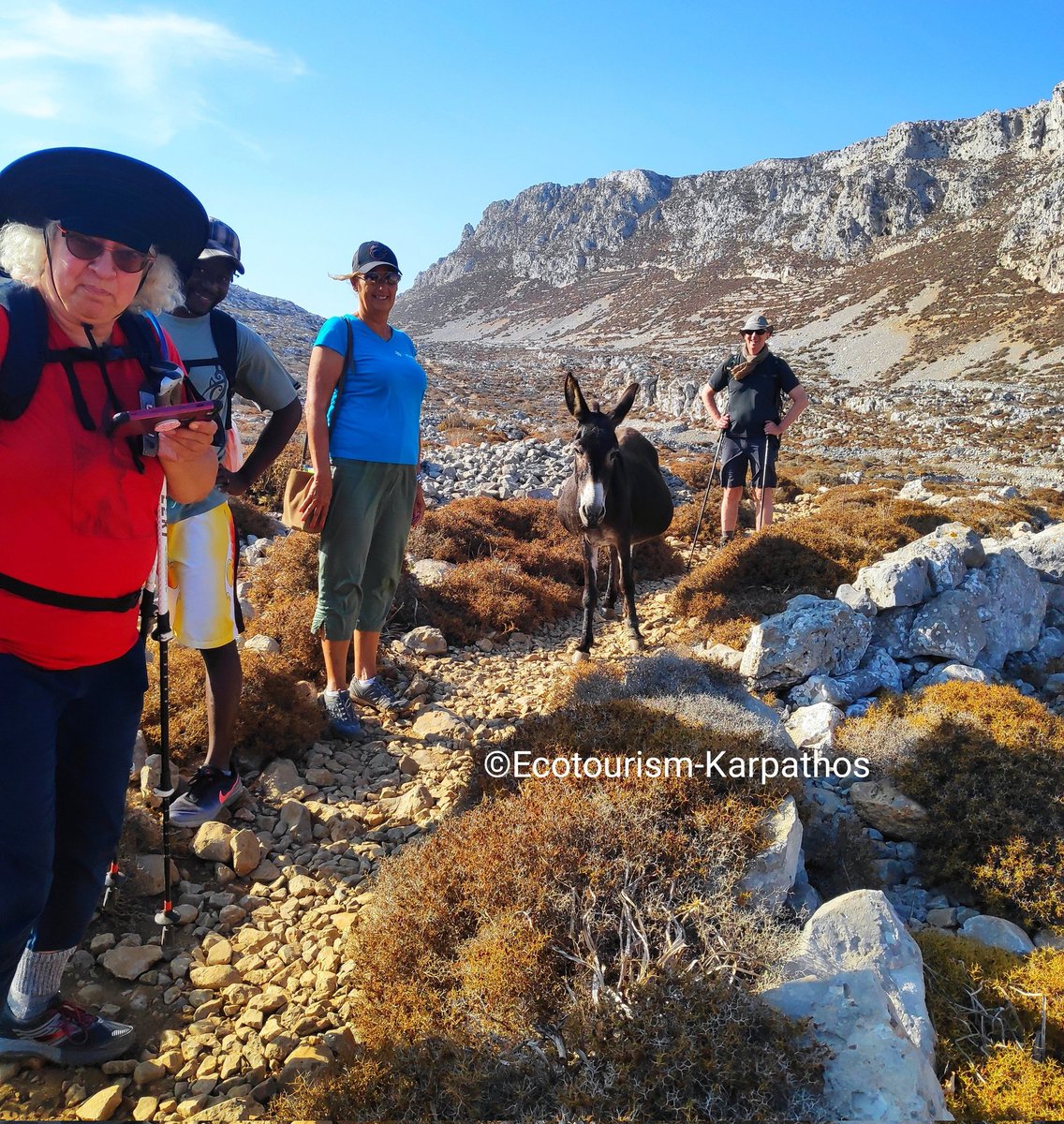 ecotourism_karp's tweet photo. A guided walking tour in the ancient city of Vrykous, the most important archeological site in Karpathos island is a combination of culture, history and many stories with pirates!!
#karpathosisland #mountainlife #walkingreece #hikingday #natur #pirates #greektravel #walking https://t.co/E8JpbxAuQ4