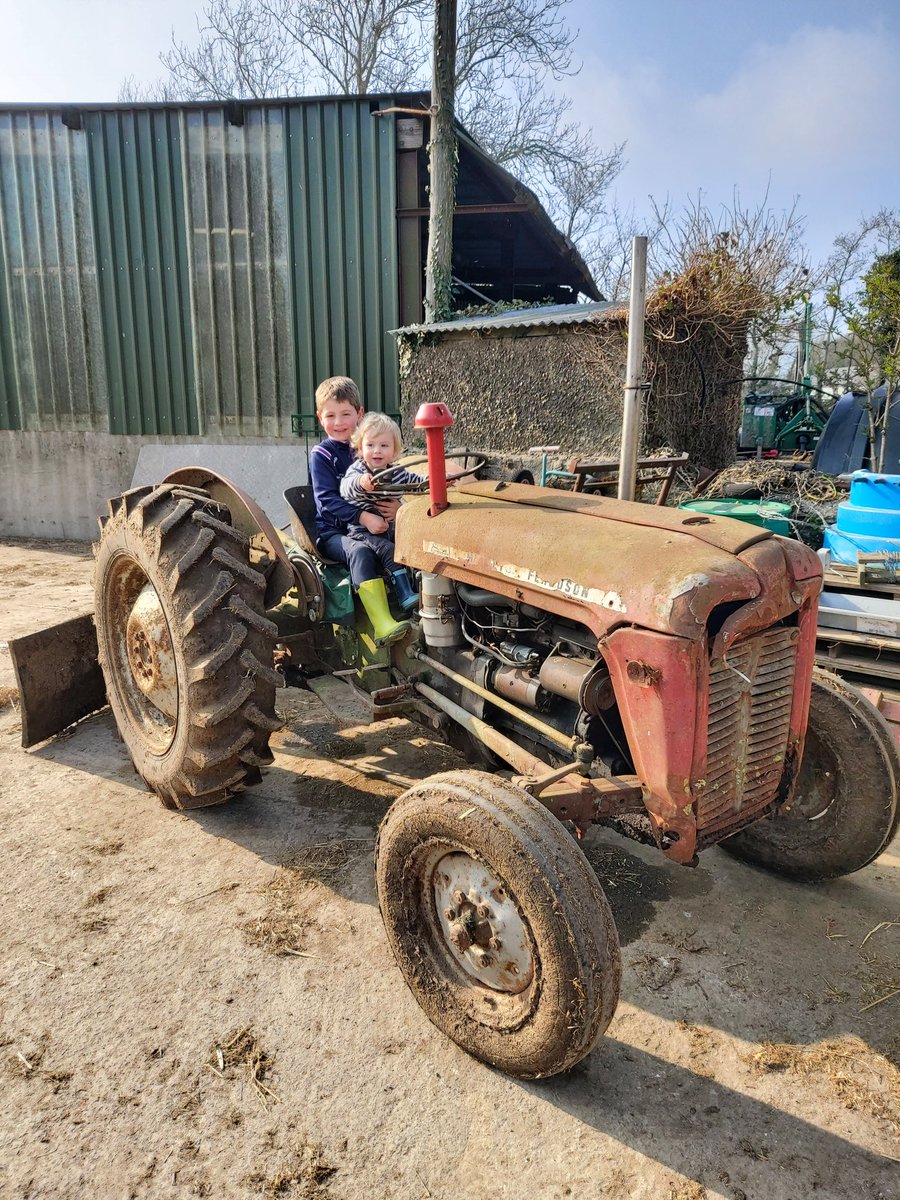 CodrumDk's tweet image. All the IT in the world can't compare to this baby!