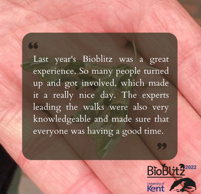 UoKBioBlitz's tweet photo. Here is some feedback from last years Bioblitz! 

It is awesome getting to hear your experiences from last year and are always grateful for hearing your feedback! 🌿

We are super excited to be organising this again this year and hope to see you there! 🐛🦇🌳  #UoKbioblitz https://t.co/MbMaAiQ05D