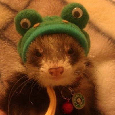 #NewProfilePic