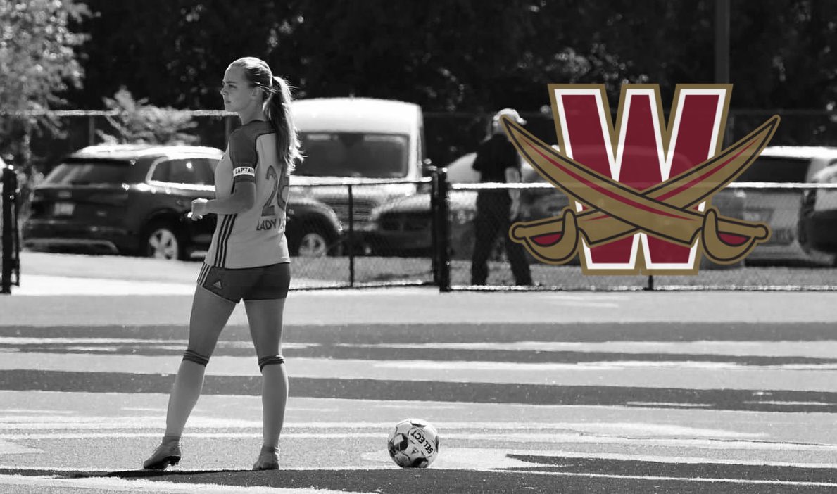 lexi ♛ tweet media