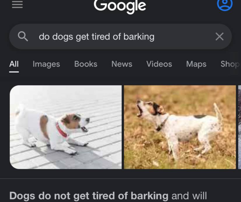 WholesomeMeme's tweet image. I knew it.