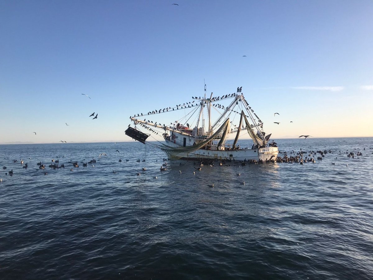 Rocky Point 360 tweet media