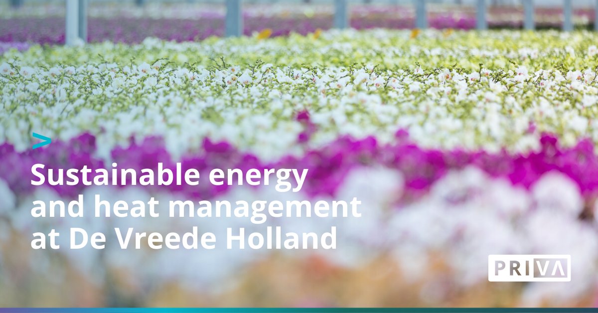 With their new CHP unit, De Vreede Holland is taking steps towards a more efficient and environmentally friendly use of heat and energy. Read the full story here: hubs.la/Q016Z3Lq0 #sustainability #horticulture #orchids #greenhouse