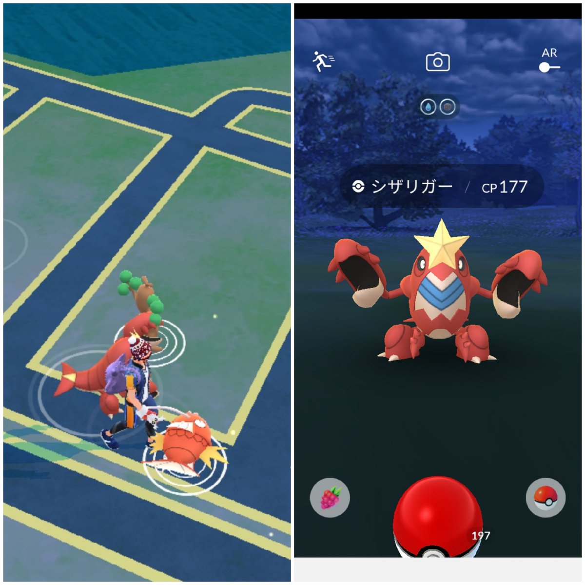 Amazinghisa 今日のポケモンgo活動 スポットでパラス光った S Gt Lt S カプ テテフレイド30分内で2回出来そうでしたので たまご使用 さらに4種族を進化 カプもともに捕獲 道中ではシザリガーと遭遇 ポケモンgo パラス 色違い