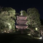 あきゃのツイート画像