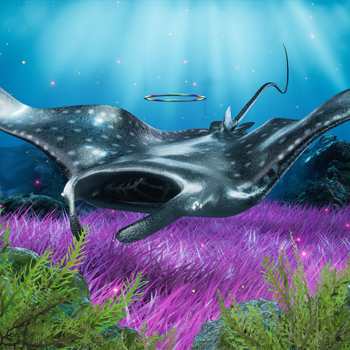 Manta Ray #921 was just bought 🙌 Congrats to the new owner!

For JUST 0.44 SOL ($49.66) 💰

The Sea Floor is Rising!
solscan.io/token/BVvHzKUu…