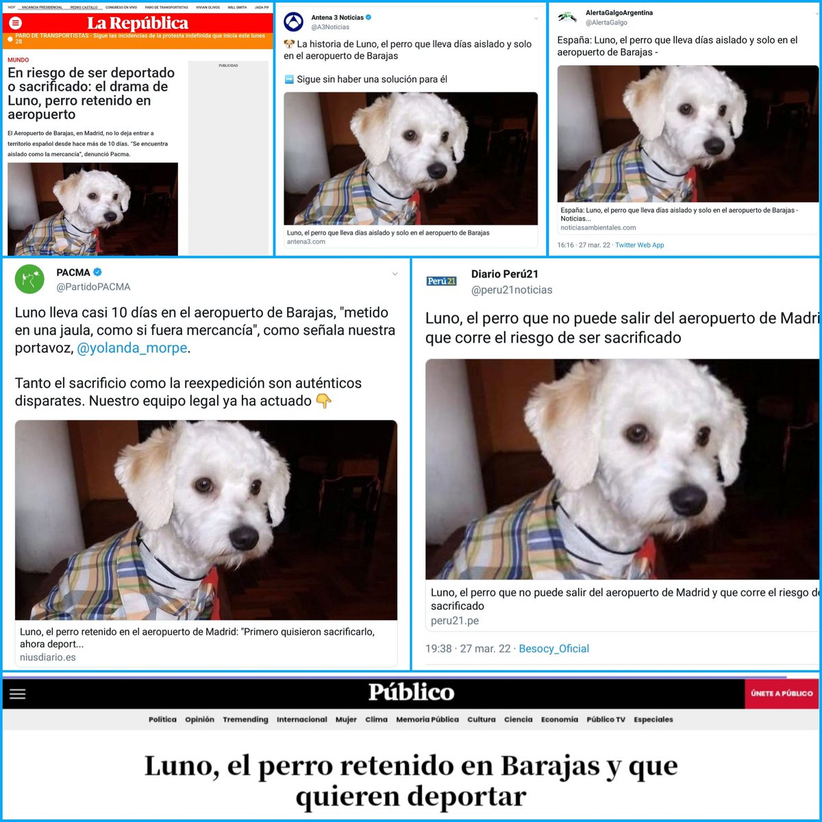 Veruka tweet media