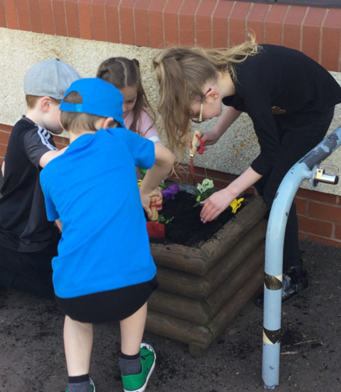 St Peter's First School tweet media