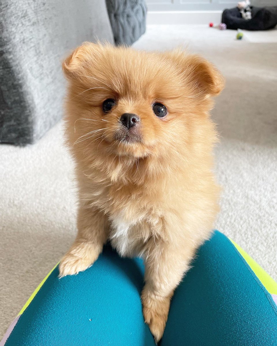 Chloë Armstrong tweet media
