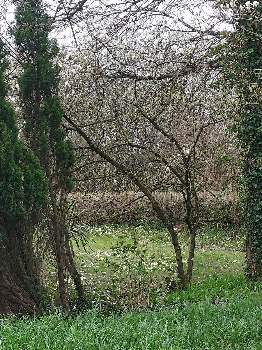 WalesRAP's tweet photo. Julia throughly enjoying quality time with the amazing @NewyddHousing management team, reflecting on #restorativeapproaches , living by our values & developing human cultures of trust, vital in these interesting times. Helped by beauty of @LlanerchVine location #funtoo. Diolch! https://t.co/QNX0UIWnDn
