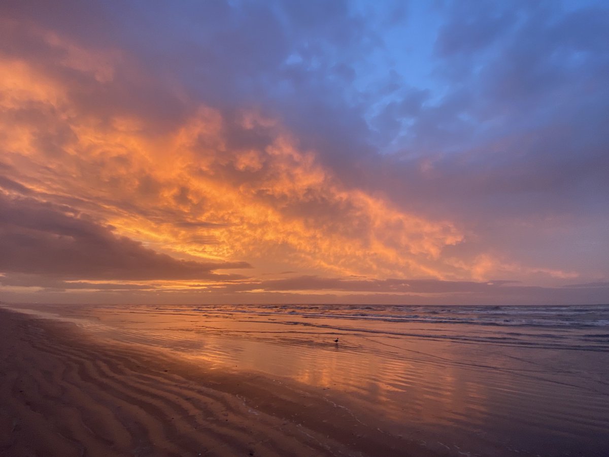Enjoy the day!  #Galveston