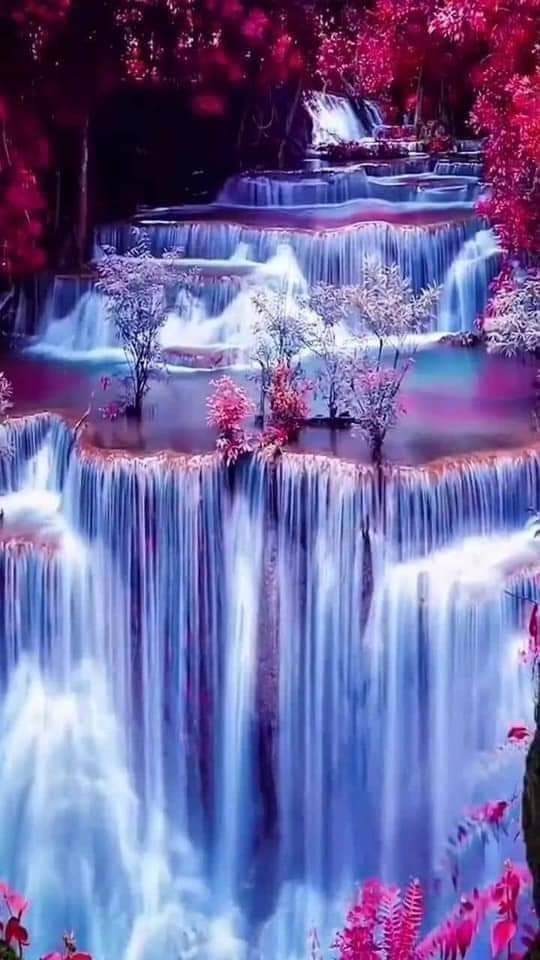 Jackson47838914's tweet photo. Good afternoon everybody sorry for the late greeting 🌹❤️ https://t.co/7X6fHPRGGs