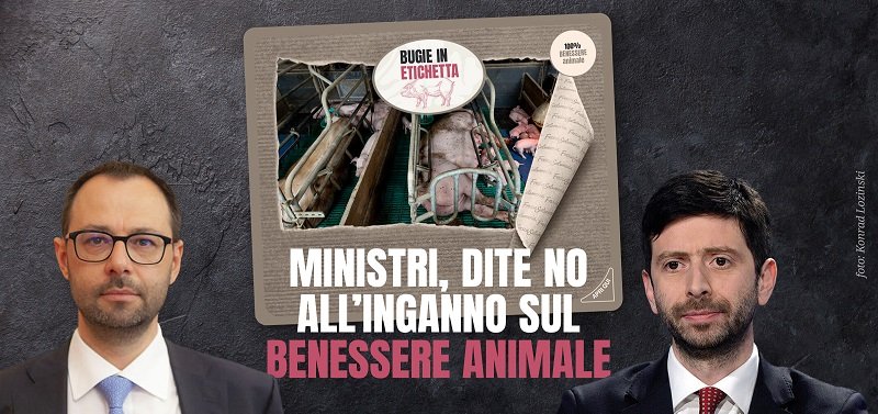 FFF_BERGAMO's tweet photo. Chiediamo a @MinisteroSalute @robersperanza @Mipaaf_ #Patuanelli una certificazione sul benessere animale con più livelli, così da favorire una VERA transizione e poter dare informazioni trasparenti ai consumatori.
#BugieInEtichetta #IngannoInEtichetta https://t.co/Y58xyyc8et