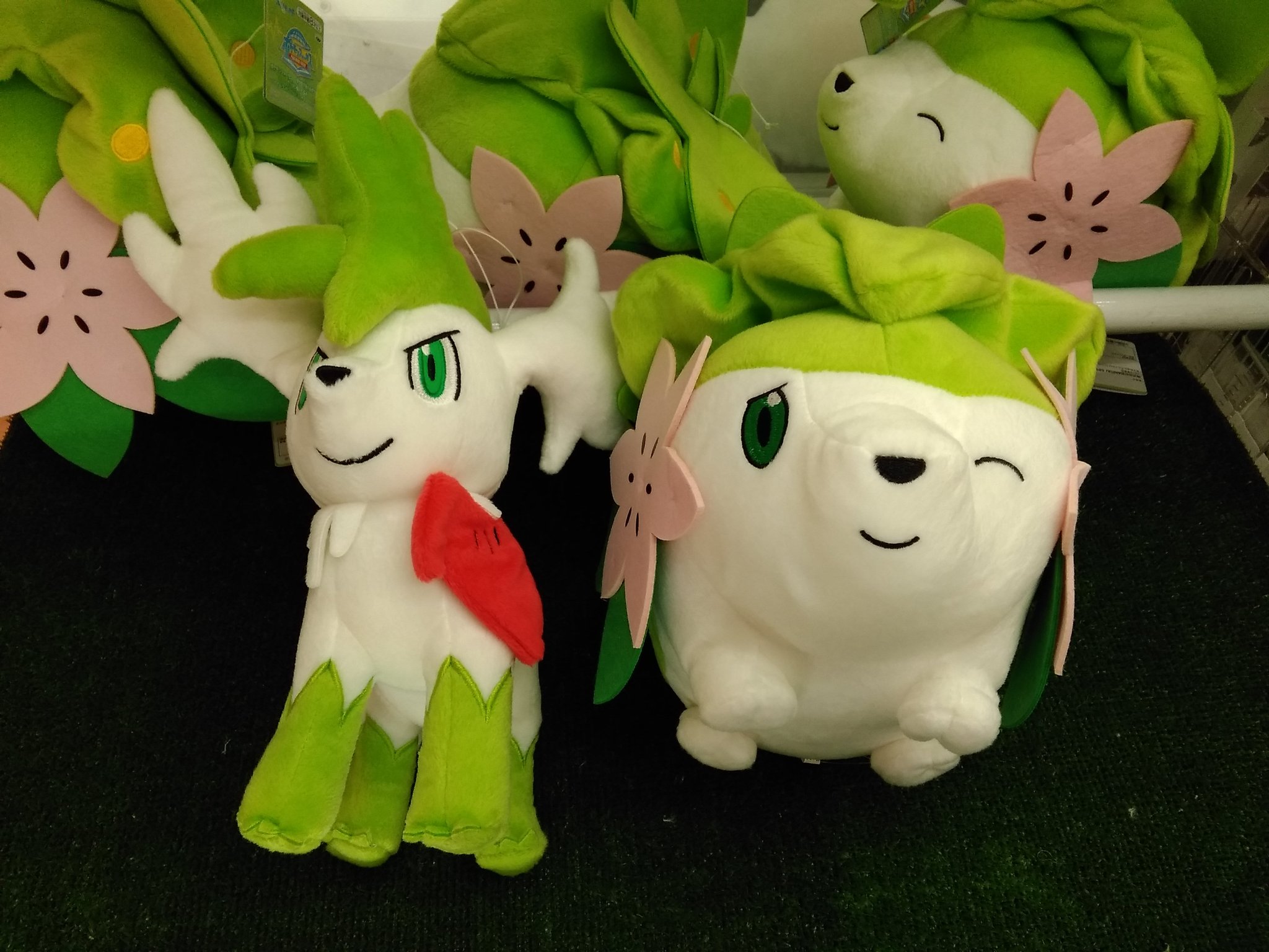 ソユーゲームフィールド菖蒲店 ポケモンフォーカス すがたが変わるポケモン でっかいぬいぐるみ シェイミ ランドフォルム シェイミ スカイフォルム 入荷しました かっこかわいいぬいぐるみです ご来店お待ちしております ポケモン