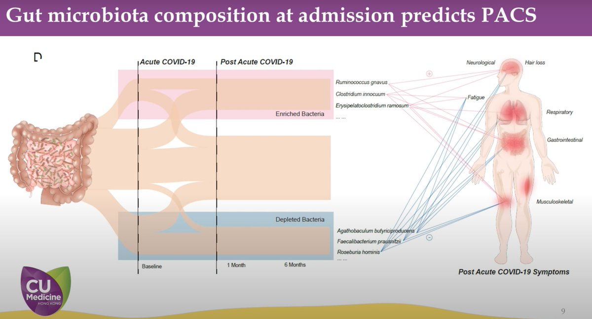 Superb #GUTVideo on the paper 'Gut microbiota dynamics in a prospective cohort of patients with post-acute COVID-19 syndrome' via bit.ly/3DbZtU4 Paper online also via bit.ly/3wARvSQ #COVID19 #Microbiota #PostCOVID @emadelomar @wingyanjoyce @Siew_C_Ng