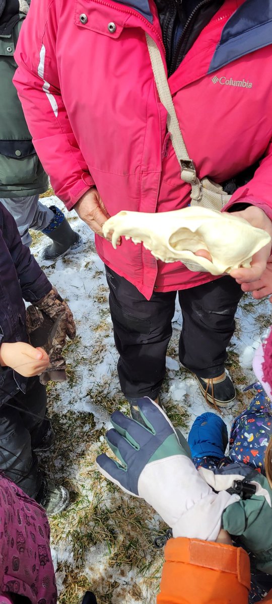 ms_mcgeragle's tweet photo. Thank you Ann from @grandriverca for a wonderful #outdoorlearning experience! @SHFlames
#grade1 #Science #livingthings #seasons https://t.co/0gEKgzDPYq