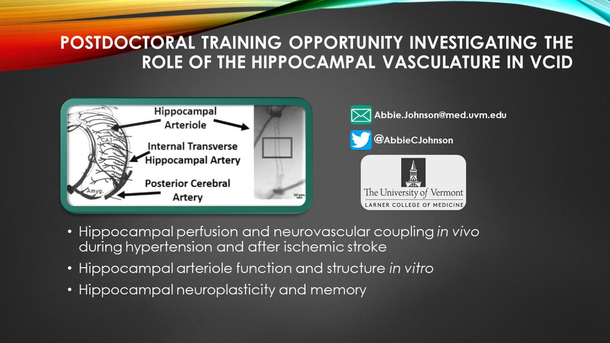Abbie Chapman, PhD (@abbiecjohnson) on Twitter photo Seeking applications from highly motivated candidates for #postdocjobs in the <a href="/AbbieCJohnson/">Abbie Chapman, PhD</a> Lab, please RT! <a href="/UVMLarnerMed/">UVM Larner Med</a> <a href="/UVMHeartBrain/">UVMHeartBrain</a> <a href="/uvmcvri/">UVM CVRI</a> <a href="/UVM_neurogp/">UVM NeuroGradProgram</a> @BRAIN_2022 #postdoc #postdocposition <a href="/expbio/">Experimental Biology</a> <a href="/ISTAART/">ISTAART</a>
jobrxiv.org/job/university… Seeking applications from highly motivated candidates for #postdocjobs in the <a href="/AbbieCJohnson/">Abbie Chapman, PhD</a> Lab, please RT! <a href="/UVMLarnerMed/">UVM Larner Med</a> <a href="/UVMHeartBrain/">UVMHeartBrain</a> <a href="/uvmcvri/">UVM CVRI</a> <a href="/UVM_neurogp/">UVM NeuroGradProgram</a> @BRAIN_2022 #postdoc #postdocposition <a href="/expbio/">Experimental Biology</a> <a href="/ISTAART/">ISTAART</a>
jobrxiv.org/job/university…