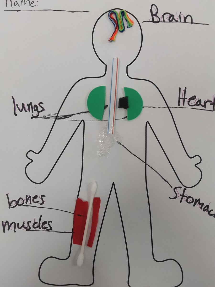 PointNavy's tweet photo. Students used different materials to model different parts of the body that they have been learning about.

#ECSDFL https://t.co/FCHlbyN24p