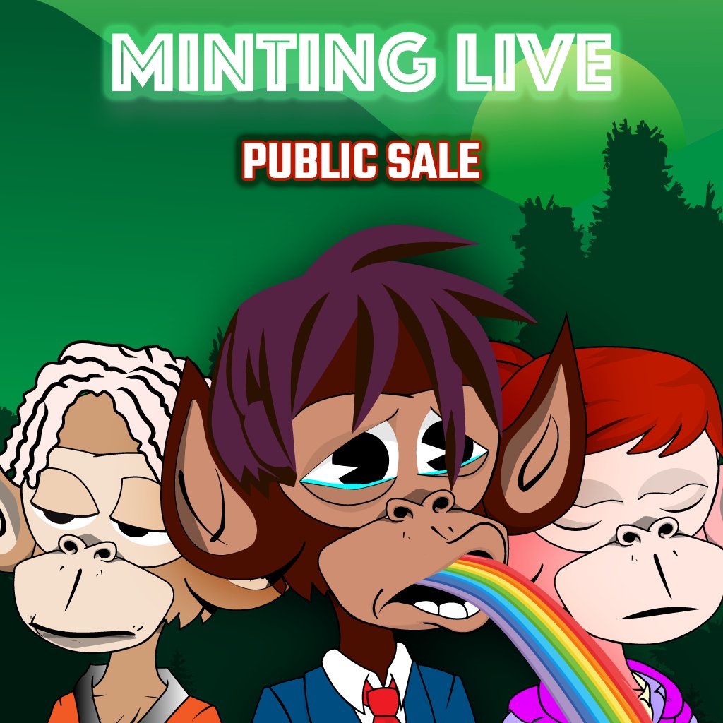 Lilly  | NFT Promoter 🍥 tweet media