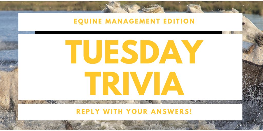 Answer the following #TuesdayTrivia:

1. TRUE or FALSE: The #Equine Management Program does not offer a Co-op option 🐴👩‍🏫

2. TRUE or FALSE: The Equine Management Program can be used as an entry point to the field of veterinary medicine. 🧑‍⚕️

Answers revealed Thursday! #Onted #UoG