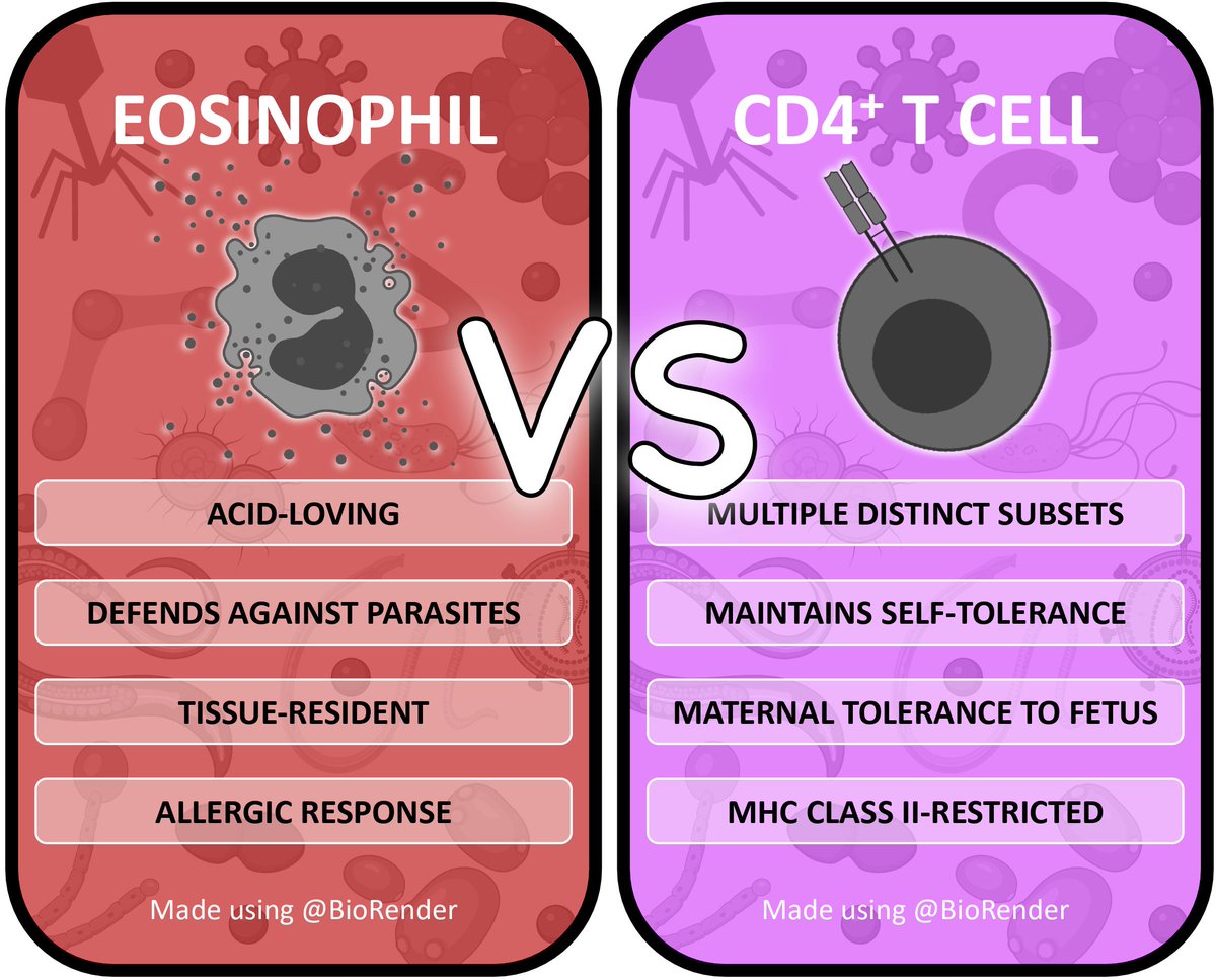 ATrotmanGrant's tweet photo. How do we even group all the diverse CD4+ T cell subsets into one card? 

Let's try.

#TeamEosinophil vs #TeamCD4 https://t.co/J63u5YICAT