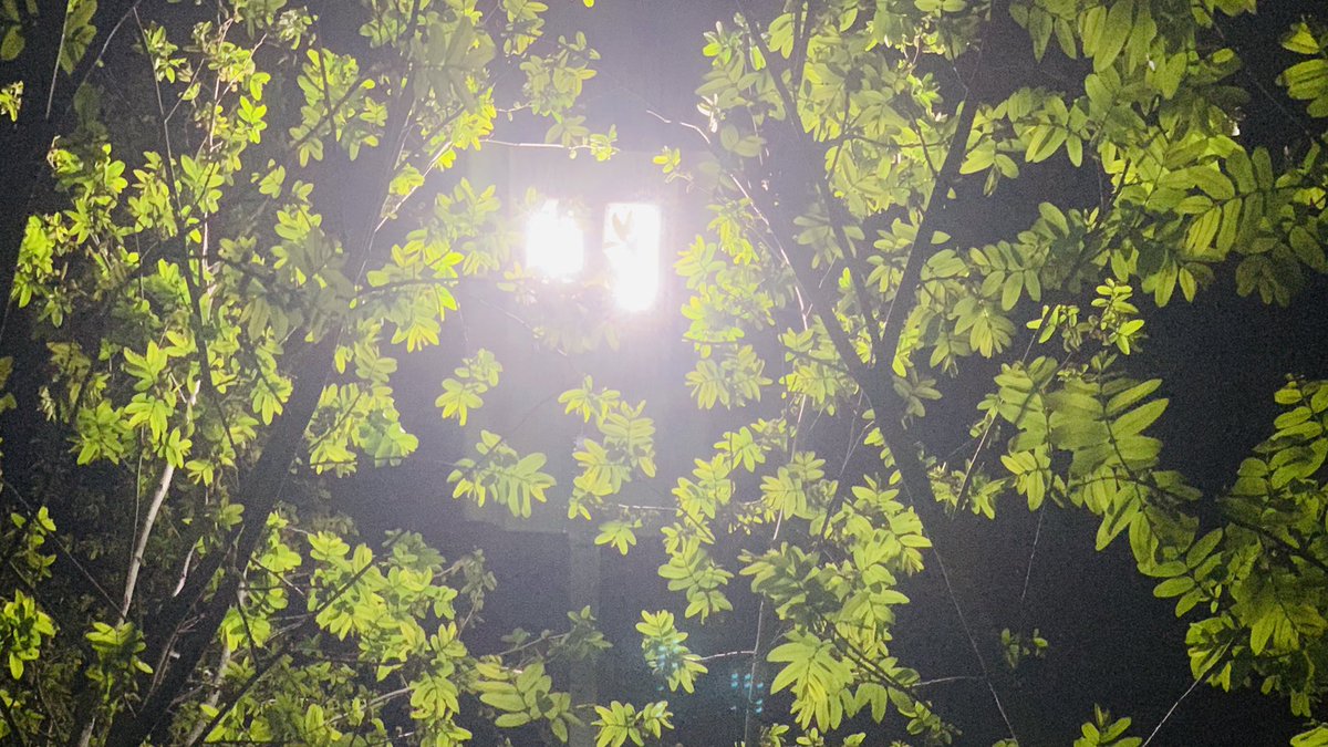 Kid_CYX's tweet photo. Tonight https://t.co/Dlict9YYnM