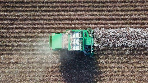 CottonInc's tweet photo. Through the #CottonCultivated website, #cotton growers, researchers, &amp; advisors gain access to fresh, relevant information – easily. The site features cutting-edge tools, decision aids, &amp; research reports. https://t.co/wBDWIdqzZd https://t.co/qWyiJnFnbL