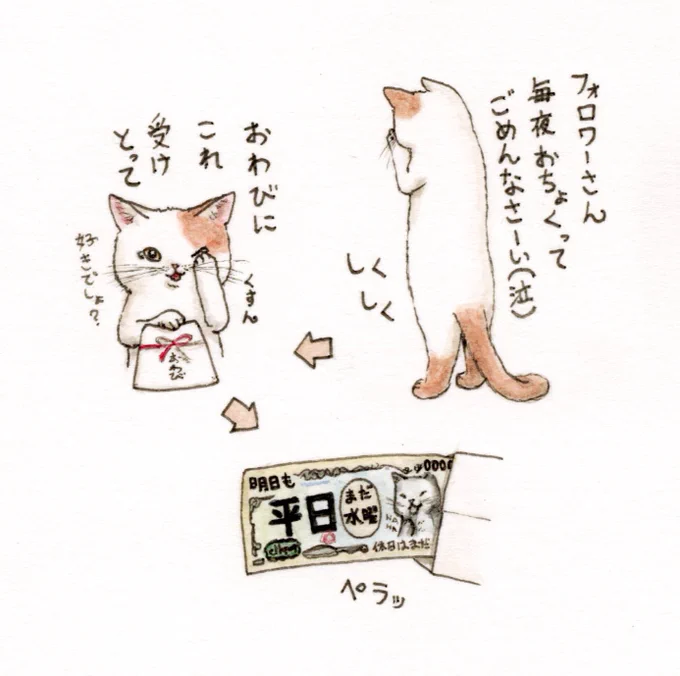 第3夜(火)
『ほんとにごめんなさーい💵』
(泣)🐱

#7夜続けて元気づけてくれる猫  
#エルクポ夜更かし劇場 