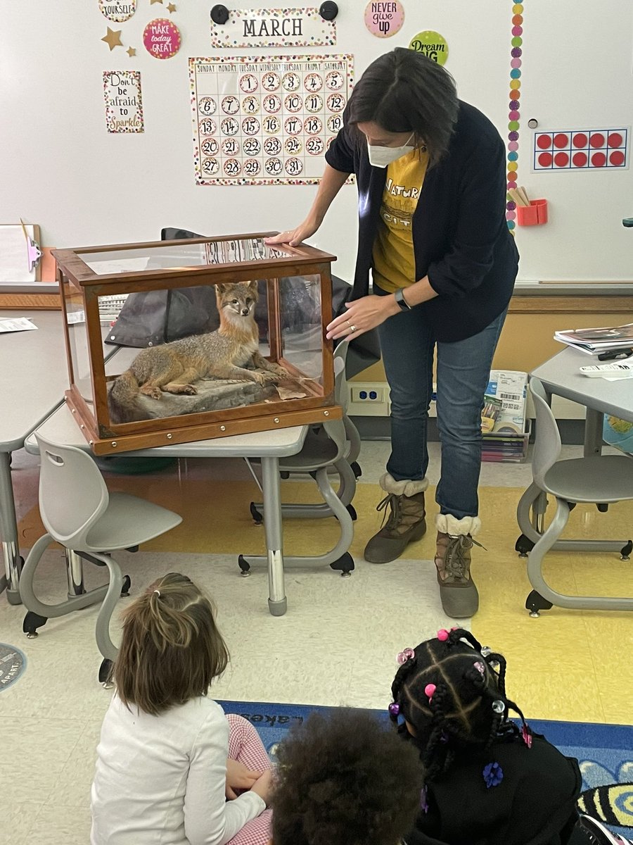 MrsGiannuzziSL's tweet photo. Our Kindergarten Scholars loved learning about Animals in Motion! Thank you @BaltimoreWoods for sharing your knowledge with us!🦊🕊🦃 @mrsmichelSL @syracuselatin @SyracuseSchools https://t.co/PKDBRPSEWP