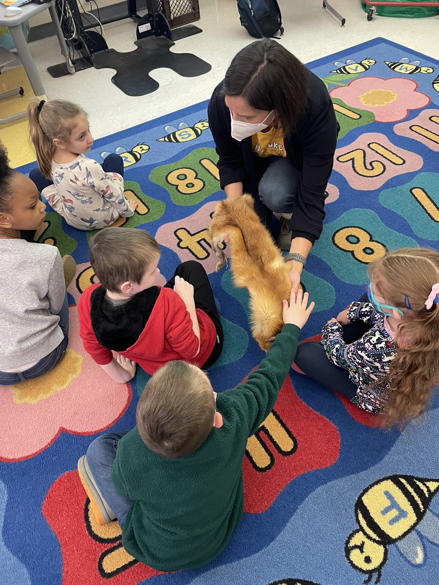 MrsGiannuzziSL's tweet photo. Our Kindergarten Scholars loved learning about Animals in Motion! Thank you @BaltimoreWoods for sharing your knowledge with us!🦊🕊🦃 @mrsmichelSL @syracuselatin @SyracuseSchools https://t.co/PKDBRPSEWP
