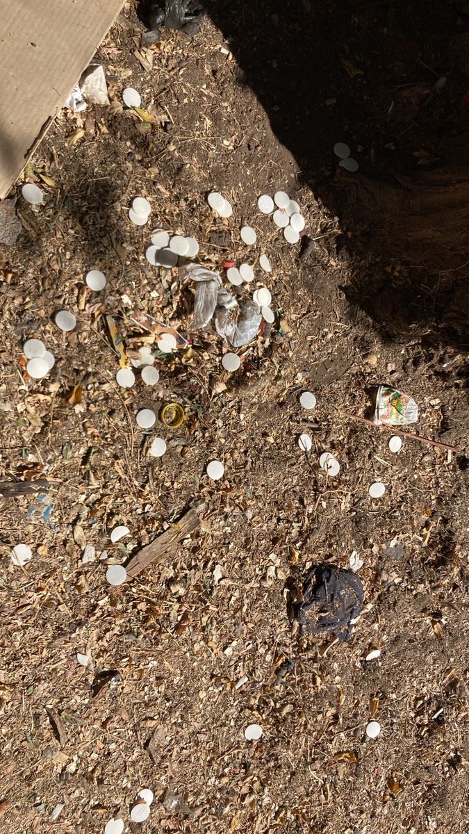 camilaemiliasv's tweet photo. ¡Que tristeza! En la previa del #DiaDelJovenDelincuente fue vandalizado y profanado el Sagrario de la Gruta de Lourdes. Se robaron los copones y las hostias (el cuerpo de Cristo) fueron tiradas a la calle. https://t.co/l7cjXbvX7X
