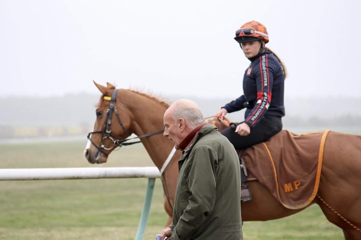 HeathHouseNkt's tweet photo. It was a hive of activity at Heath House Stables this morning with some of the horses having their first gallop on the Al Bahathri.
#racehorses #sirmarkprescott #flatseason #horseracing #flatracing #gallopmorning #newmarketheath https://t.co/rFgqNnRQfo