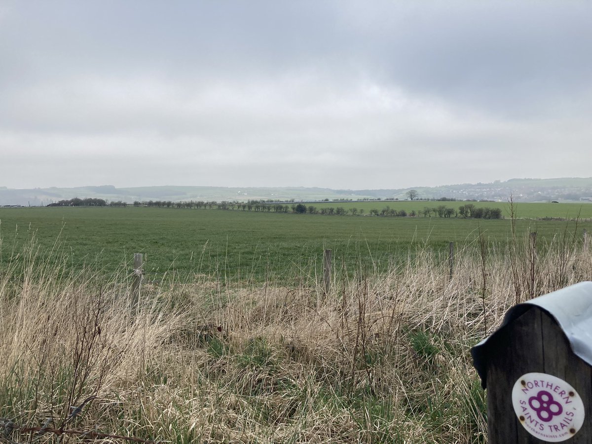 Sally__D's tweet photo. Change of route for my lunchtime walk today. So here we have the sun doing its best to make an appearance over Cote Hill & Witton Gilbert (I find that I’m on the @ThisisDurham #NorthernSaintsTrail #WayofLight !) & a cheerful carpet of narcissi at @ushawdurham ready to greet you https://t.co/pjz9Ww0SkF